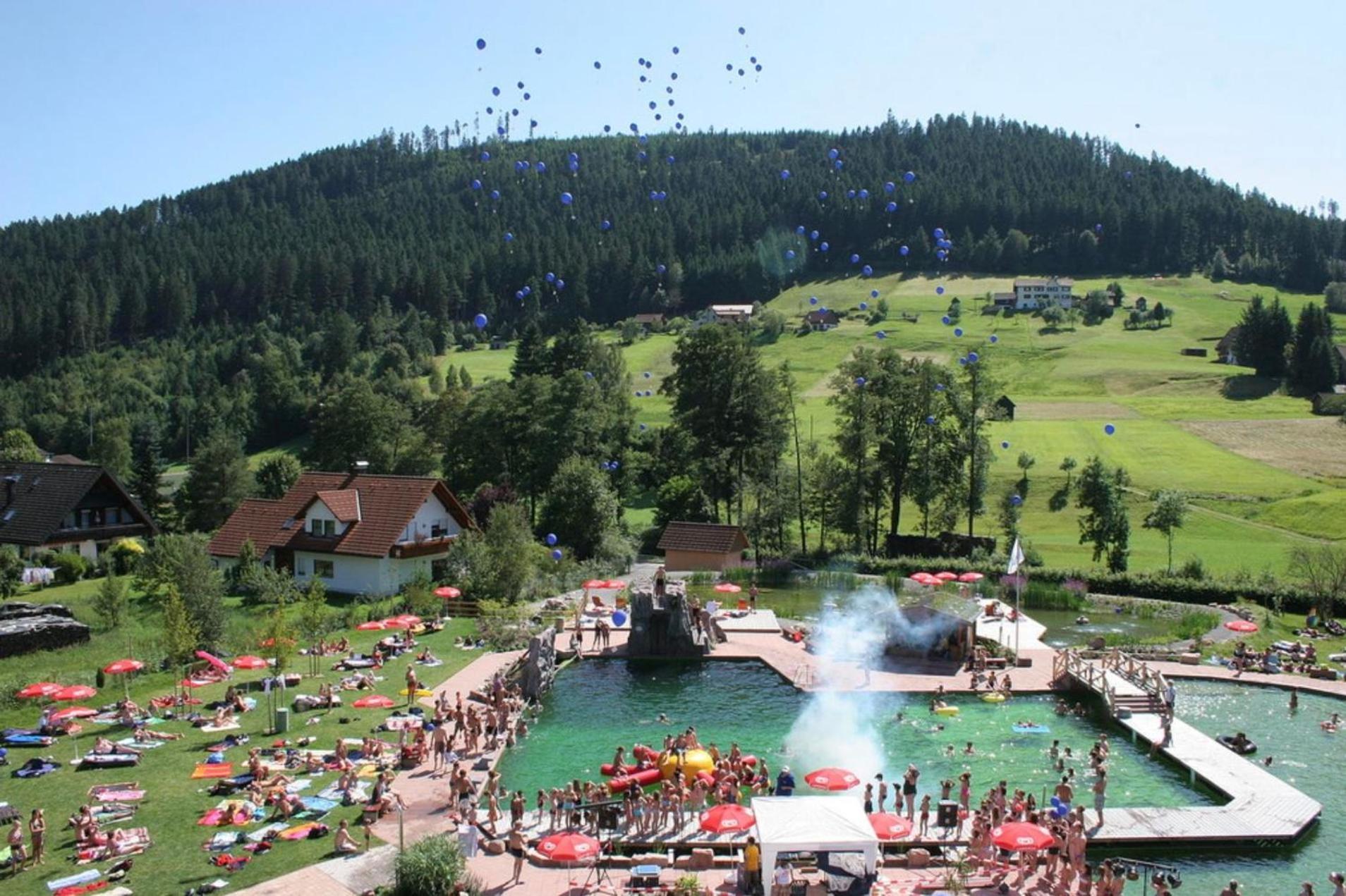 Apartment Schwarzwald Tannenzaepfle *