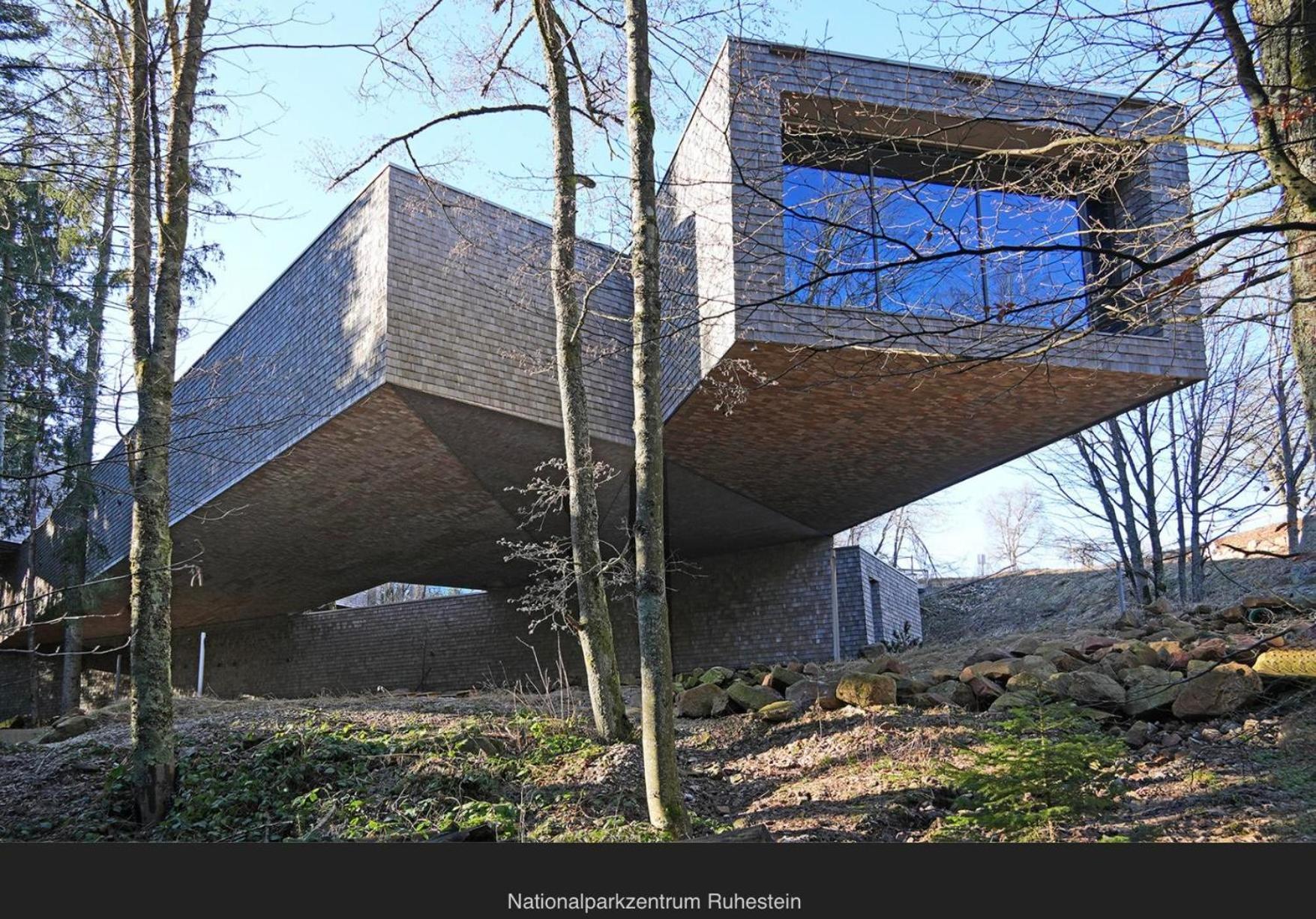 Schwarzwald Tannenzaepfle Apartment *