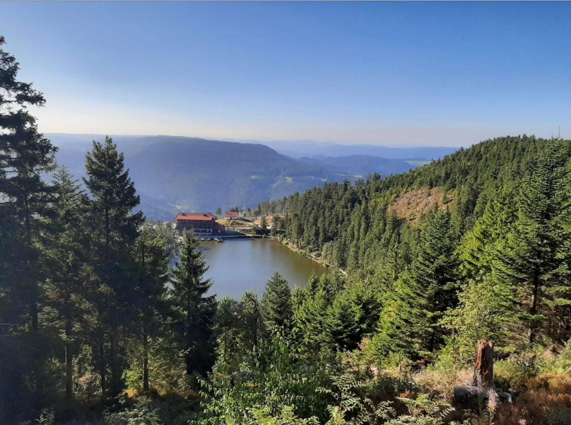 Schwarzwald Tannenzaepfle *