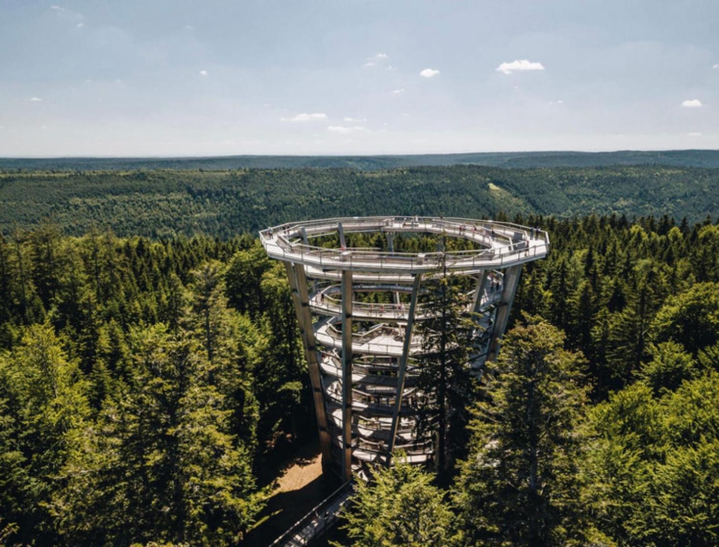 Schwarzwald Tannenzaepfle
