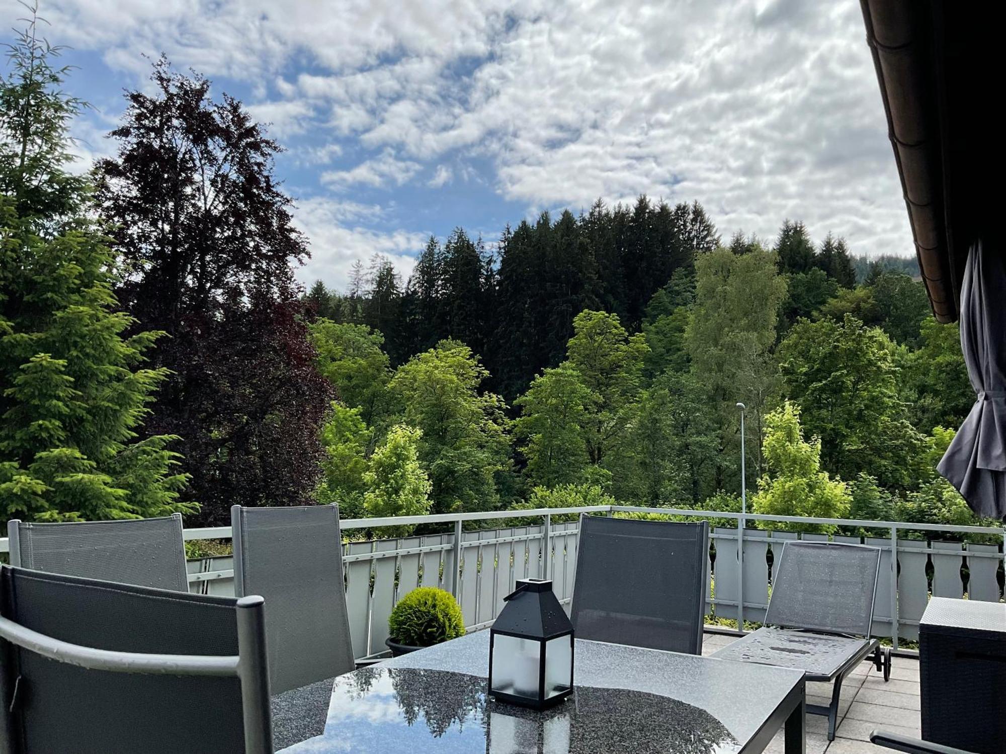 Schwarzwald Tannenzaepfle Apartment *